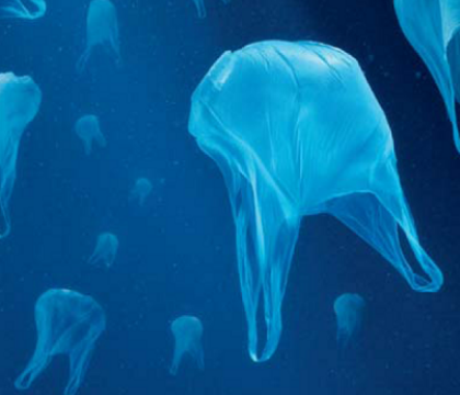 Les Européens appelés à limiter l&rsquo;usage des sacs en plastique