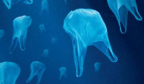sacs plastiques