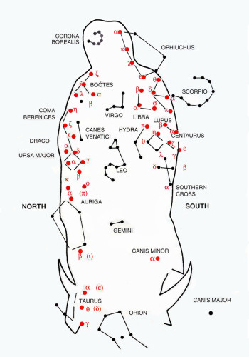 Constellation Vierge de Guadalupe
