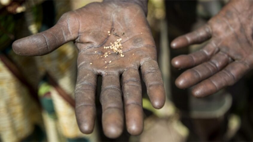 Le pape appuie Caritas pour éradiquer la faim dans le monde