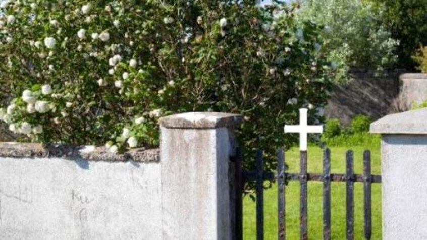 Macabre découverte en Irlande