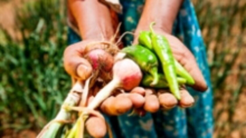 Caritas : une semaine d&rsquo;action pour éradiquer la faim