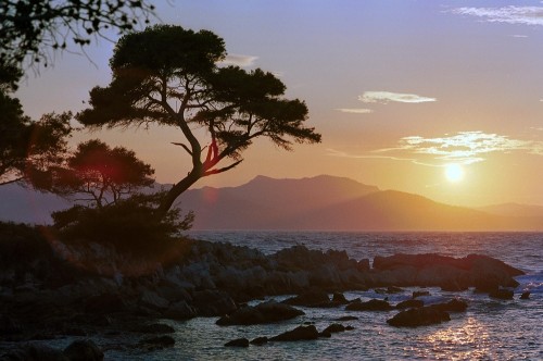 Ile Ste Honorat