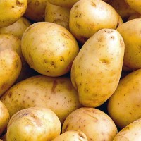 patates