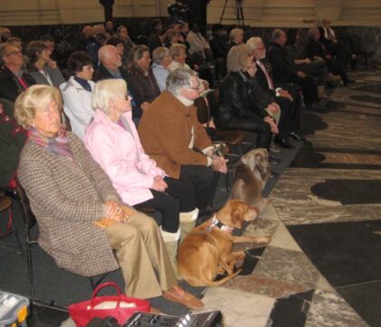 Tous les amis des animaux au rendez-vous de la Saint-Hubert
