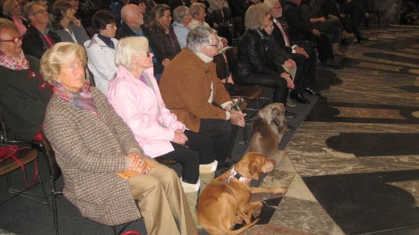 Tous les amis des animaux au rendez-vous de la Saint-Hubert