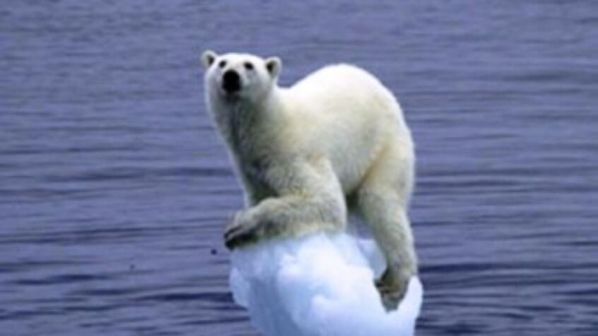 Lutte contre le réchauffement climatique : une urgence !