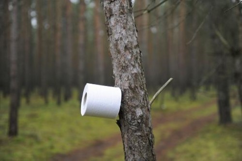 toilette