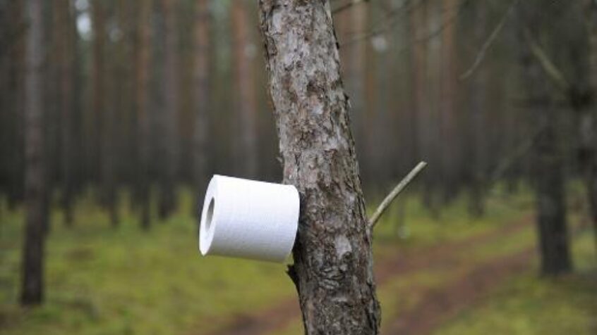 L’urgence de sensibiliser aux bienfaits des toilettes