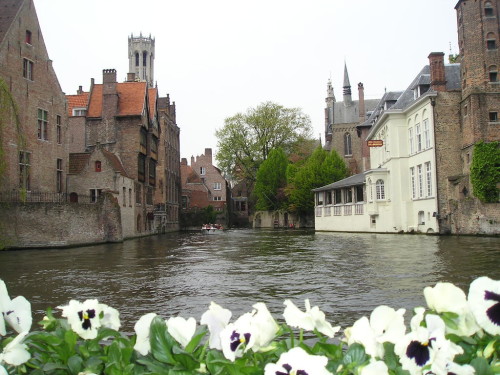 bruges canaux