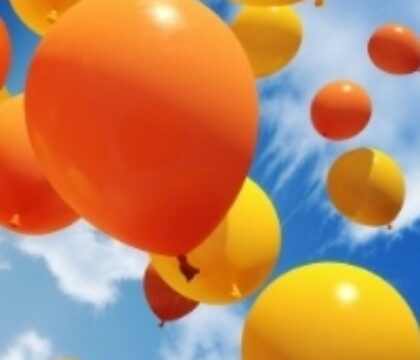 Samedi 7 mars, grande fête des familles à Dinant