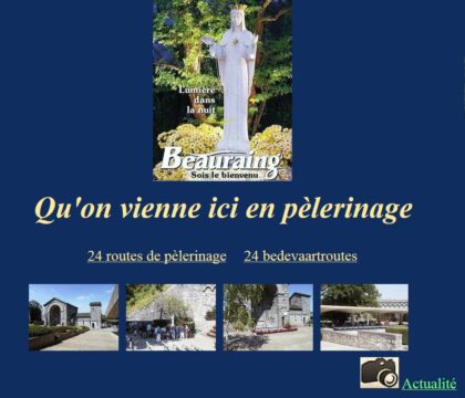 Les sanctuaires de Beauraing sur la Toile