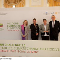 Bonn Challenge
