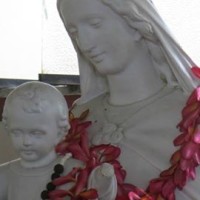 Caritas Vanuatu