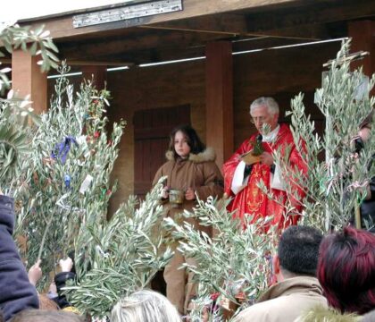 Italie : une bactérie contrarie les Rameaux
