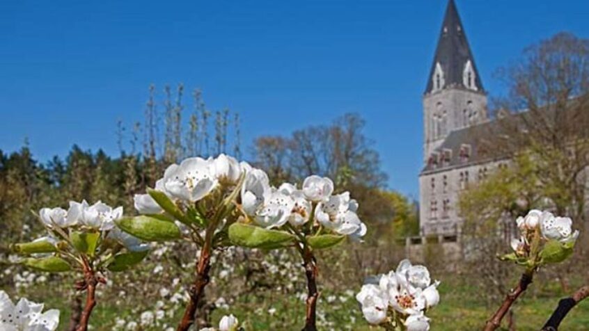 Le Temps pascal, temps de la maturation