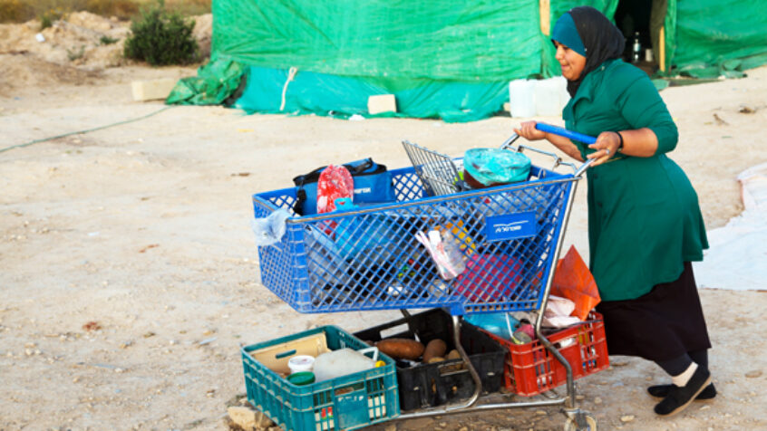 Groupe « Solidarity With Bedouins ». Ce matin-là à Al Araqib.
