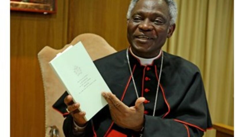 Laudato si, une contribution présentée à l&rsquo;ONU