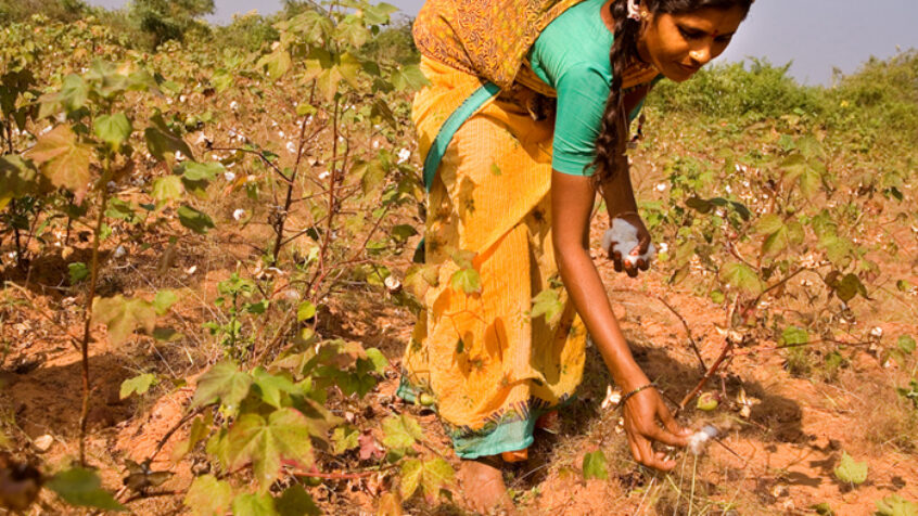 Inde : sauver les agriculteurs du suicide