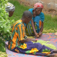Travail rural au Burundi