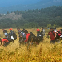 Macedoine migrants
