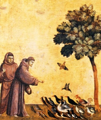 Giotto