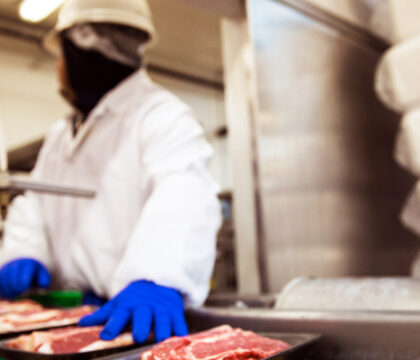 Alimentation : Sortir du désordre mondial est possible