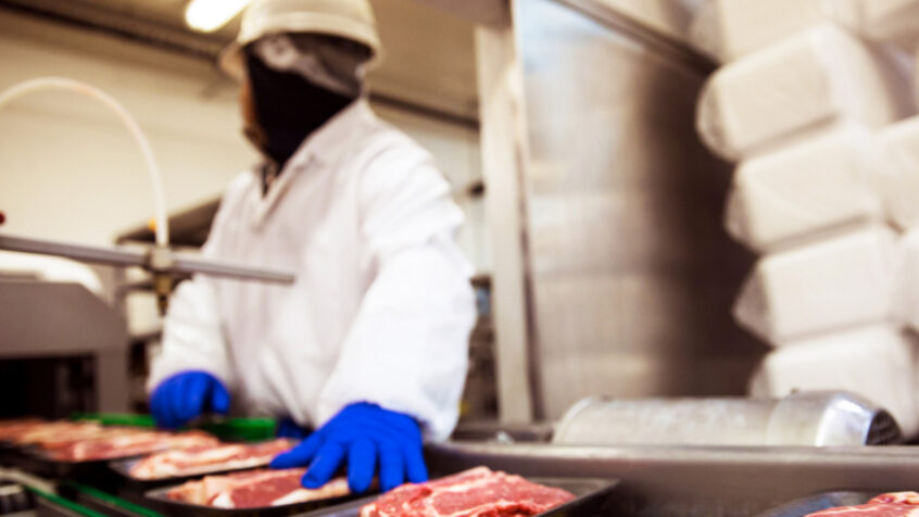 Alimentation : Sortir du désordre mondial est possible