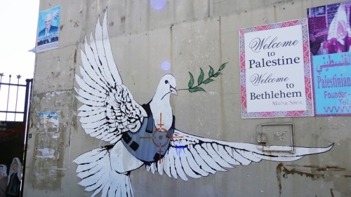 Colombe bethleem