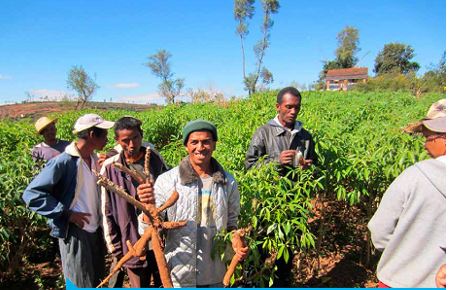 Madagascar-careme-de-partage-2016