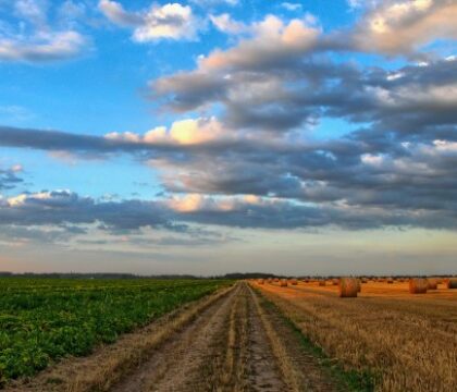 France : les évêques de l&rsquo;Ouest montrent leur respect aux agriculteurs