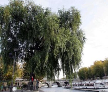 Paris : pour que la Saint Barthélemy ne se reproduise plus
