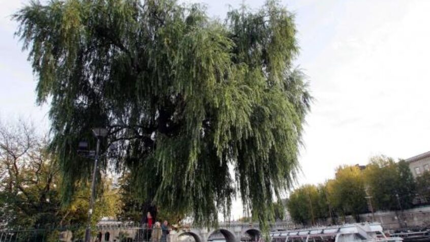 Paris : pour que la Saint Barthélemy ne se reproduise plus