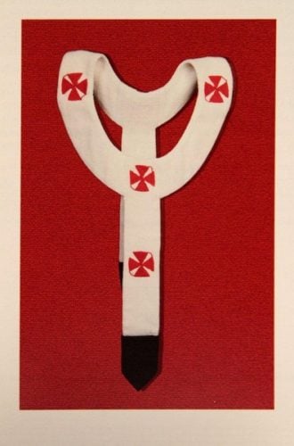 pallium 3