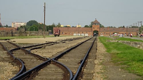 DSC09244