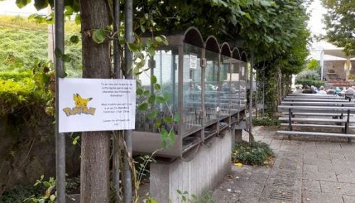 Pokemon Beauraing