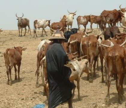 Nigeria : Un prêtre catholique libéré, après une semaine d&rsquo;enlèvement