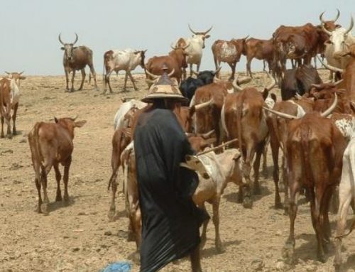 bergers-peuls-nigeria