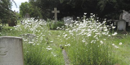 cimetiere