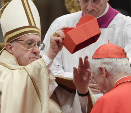 Mgr De Kesel est désormais cardinal