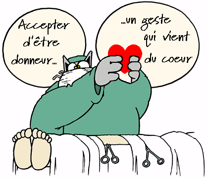 transchat