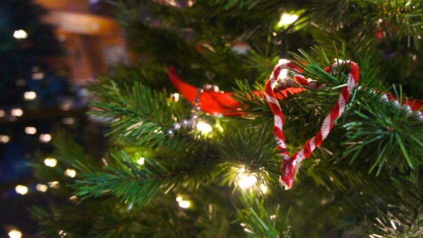 La crèche et le sapin de Noel: symboles « d’espérance et d’amour » 