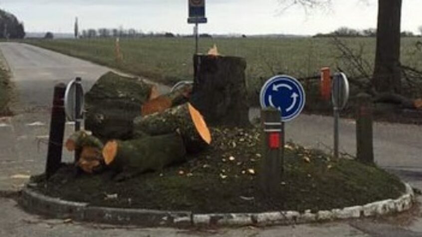 L&rsquo;arbre de la justice à Court-Saint-Etienne tronçonné par des vandales