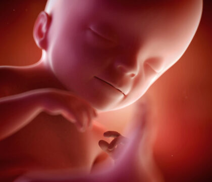 Un nouveau projet de loi pour la reconnaissance des bébés nés sans vie
