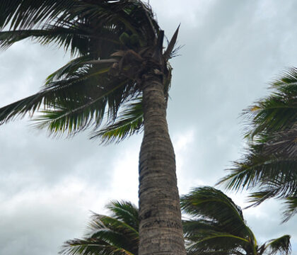 Ouragan Irma: « Aidons et Prions », dit l&rsquo;évêque de Guadeloupe