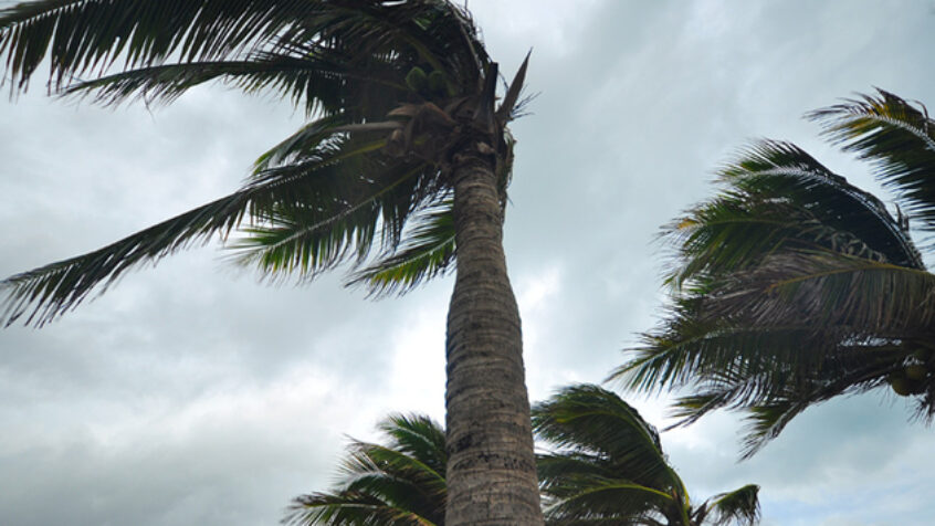 Ouragan Irma: « Aidons et Prions », dit l&rsquo;évêque de Guadeloupe
