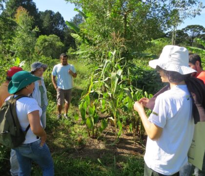 Agroecologia 2017