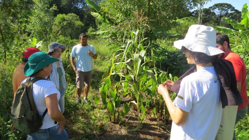 Agroecologia 2017