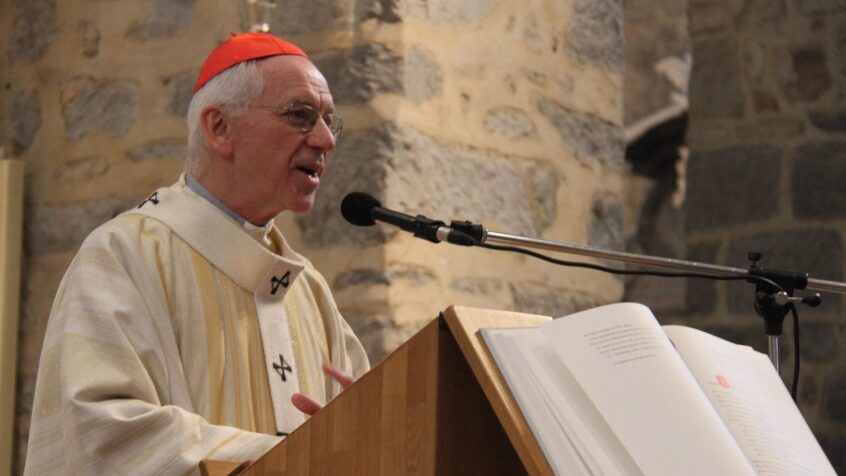 Cardinal De Kesel: « Etre fidèles à notre vocation d’Eglise et de chrétiens »