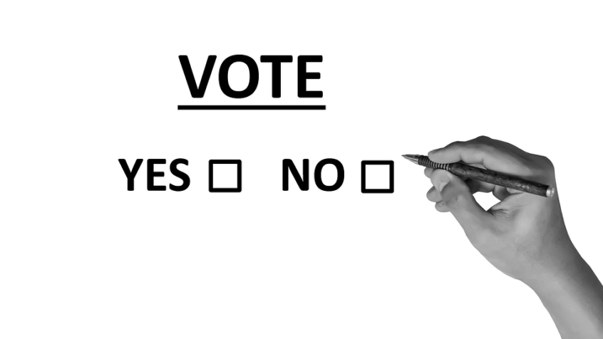Les primo-votants peu concernés par les élections?